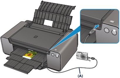 Canon Pixma Manuals Pro Series Printing Photographs Directly